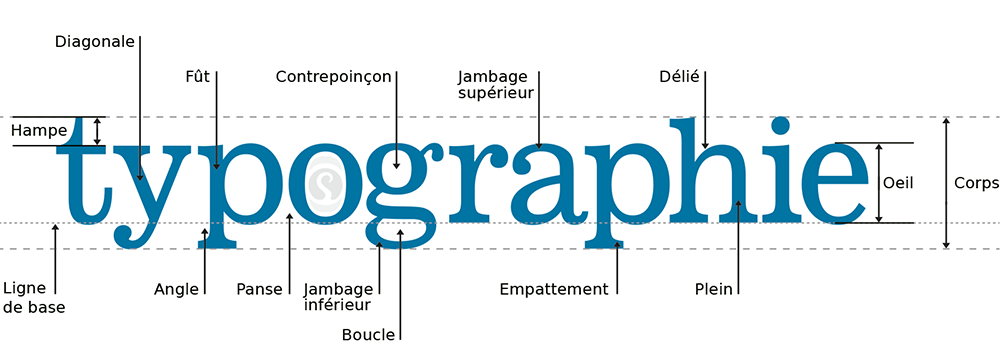 Anatomie d'une typographie